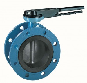 Double_flange_type_butterfly_valves.jpg