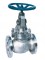 Globe valves Cast Steel