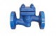 Check Valves Cast Iron 