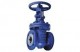 Gate valves Cast Iron 